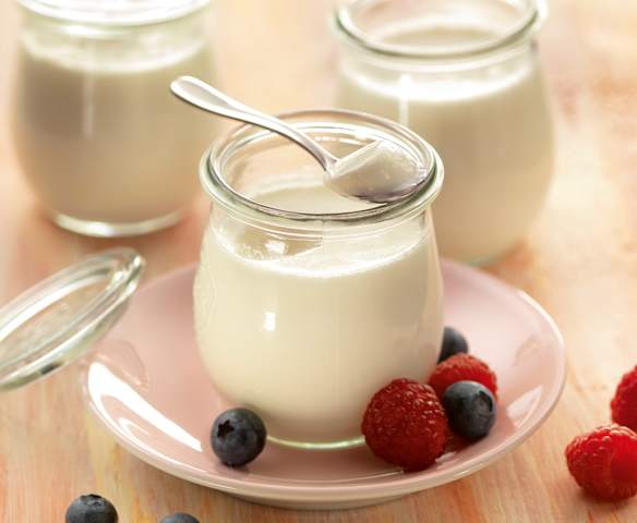 Plain Yoghurt Plain Yoghurt