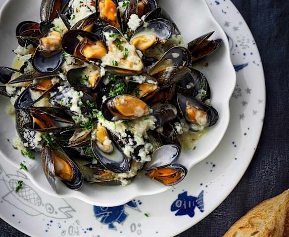 Mussels in Cream and White Wine Sauce Mussels in Cream and White Wine Sauce