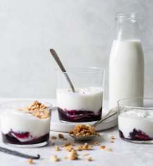 Vanilla Yoghurt