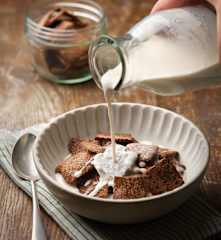 Cinnamon Crunch Cereal with Dairy-free Milk